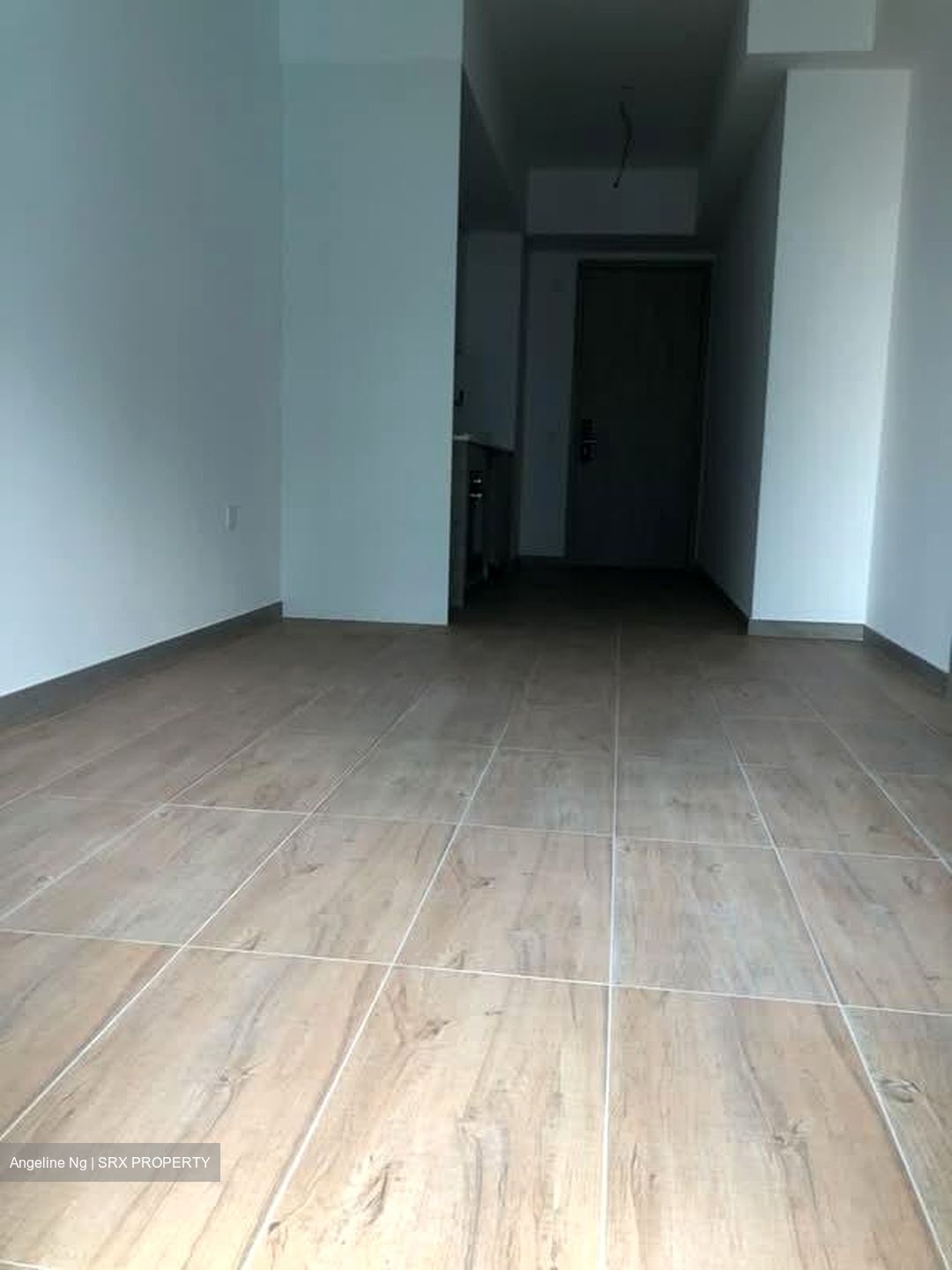 The Alps Residences (D18), Condominium #553893431